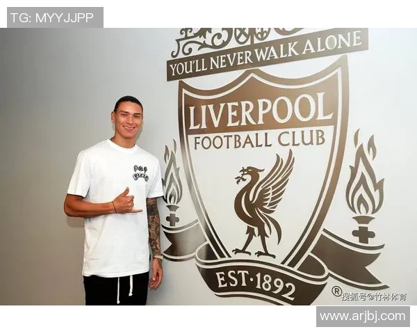 努涅斯在赛季中的崛起与挑战分析,展望未来的足球生涯与发展潜力